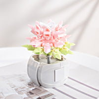 Succulent Blocks Assembled Plants Simulation