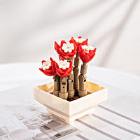 Succulent Blocks Assembled Plants Simulation