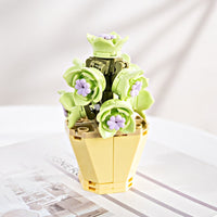 Succulent Blocks Assembled Plants Simulation